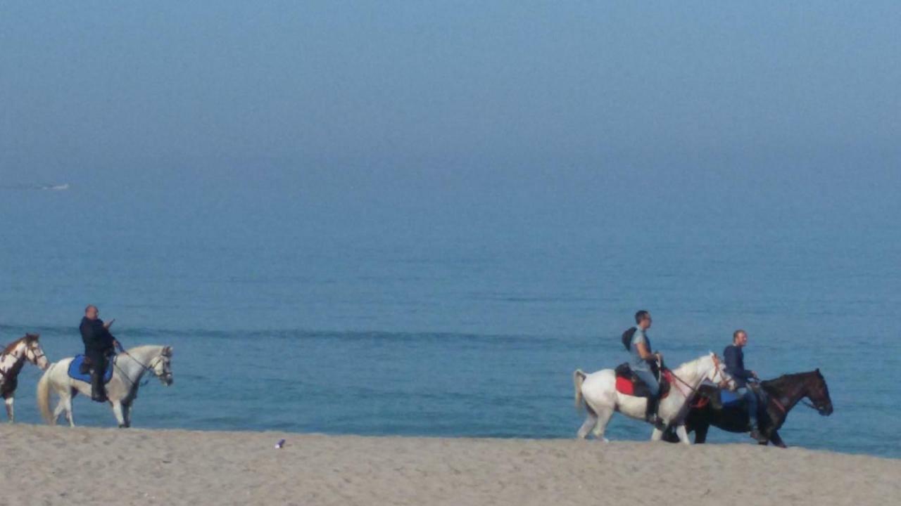Case Susinna Torretta Capaci Buitenkant foto